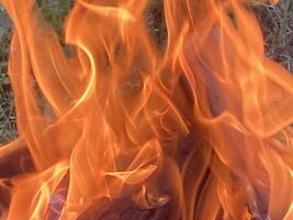 The flame of the fire burns from the wood photo