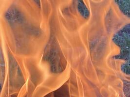 The flame of the fire burns from the wood photo