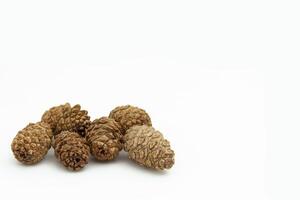 Collection of brown dry cedar cones of small size on white background, lying still in a pile. Textured cones. Horizontal. For banner. photo