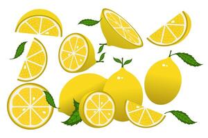 Lemon slices. Fresh citrus, half sliced lemons and chopped lemon. Cut lemons fruit slice and zest for lemonade juice or vitamin c logo. Isolated cartoon illustration icons set vector