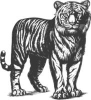 wildlife with engraving style black color only vector