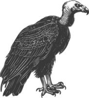 vulture bird animal with engraving style black color only vector