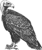 vulture bird animal with engraving style black color only vector