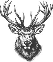 wildlife with engraving style black color only vector
