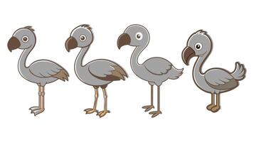 Flamingo sticker bundle set isolated on white background vector