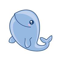 whale animal underwater vector