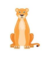 lion female animal isolated vector