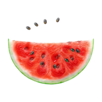 Watermelon Slices on Transparent Background png