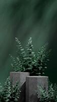 Concrete podium with green eucalyptus leaves 3d rendering mockup template in portrait layout photo