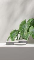 Terrazzo and concrete texture podium 3d rendering mockup in portrait with alocasia plant background photo