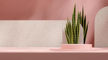 Pastel pink podium 3d rendering scene with snake plant and terrazzo backdrop in landscape layout photo