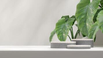 Terrazzo and concrete texture podium 3d rendering mockup in landscape with alocasia plant background photo