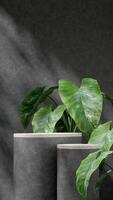 3d rendering mockup template of terrazzo and concrete podium in portrait with alocasia leaf photo