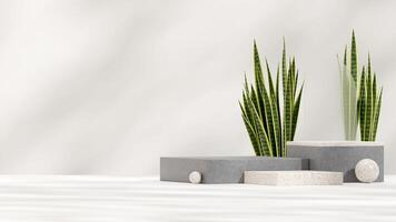 3d rendering mockup template terrazzo and concrete texture podium in landscape with snake plants photo