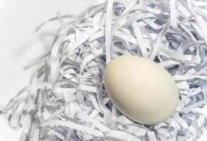 Eggs on the straw paper in white background photo