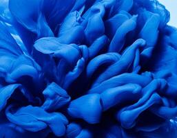 a close up of a blue abstract flower shaped object photo