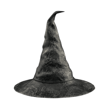 halloween häxa hatt på transparent bakgrund png