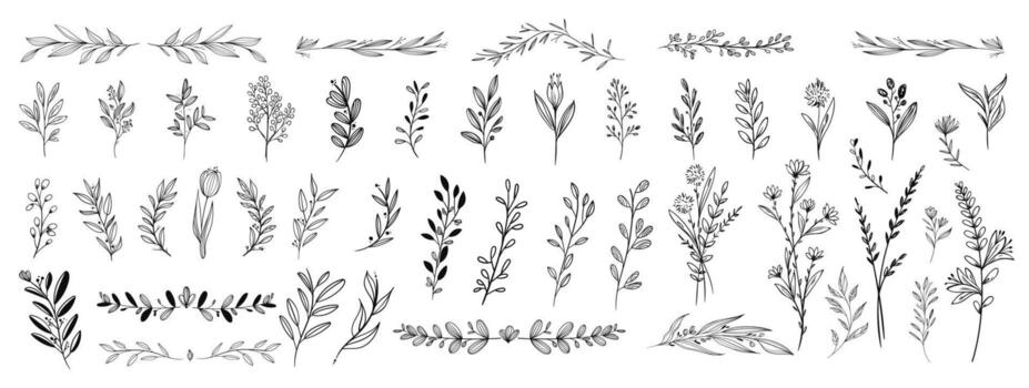 Floral branch set. Branch with leaves sketch style. Botanical element collection. vector