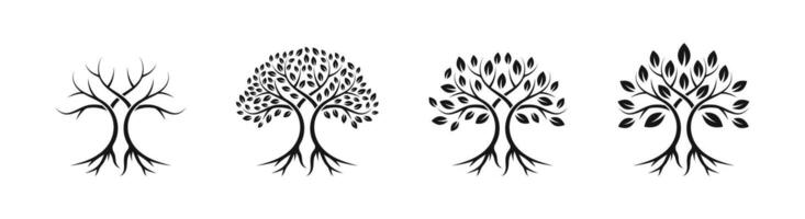 Tree silhouettes. Tree icons. tree. Tree symbols. Family tree. Tree of life. Tree with root. vector