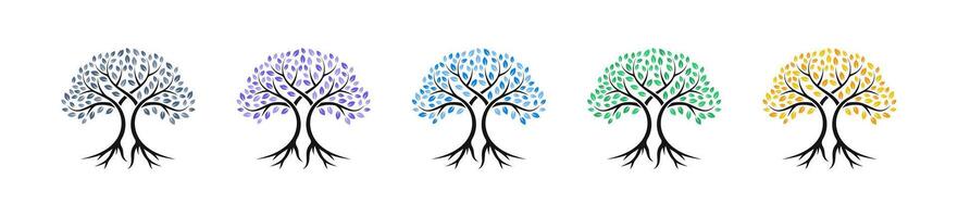Tree icons. Tree symbols. Family tree. Tree of life. Tree silhouettes. Tree with root. tree vector