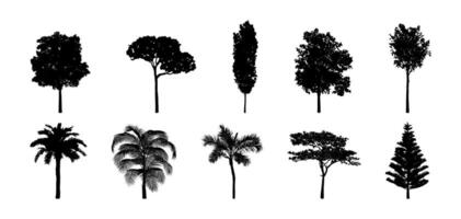 Tree silhouette set. Trees flat black collection. vector