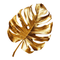 Gold Palm Leaf on Transparent Background png