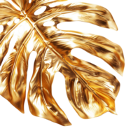 Gold Palm Leaf on Transparent Background png