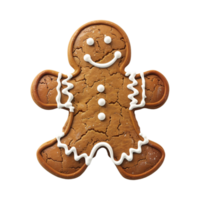 Gingerbread Christmas Cookie on Transparent Background png