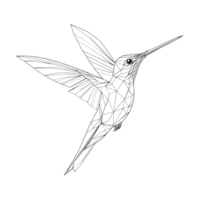 Humming Bird Sketch Art on Transparent Background png