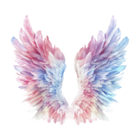 Pastel Color Angel Wings on Transparent Background png