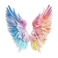 Pastel Color Angel Wings on Transparent Background png