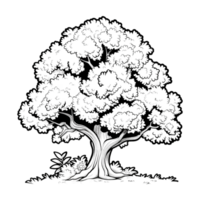 Tree Sketch Art on Transparent Background png