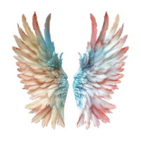 Pastel Color Angel Wings on Transparent Background png