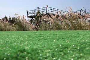 The lawn is covered with artificial grass. There is a steel frame on the 2nd floor for viewing the view as a backdrop. photo