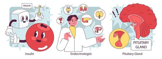 Endocrine system organs and disease set. Human glands function. Pituitary vector