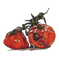 Two rotten tomatoes lying and starting to rot with mold growing on the skin vector