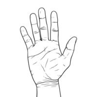 Open hand drawn with black lines on a white background vector