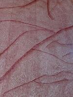 abstract background with wood bark motif photo