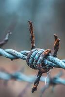 Close up Photo of Barbed Wire. Ai-Generative.