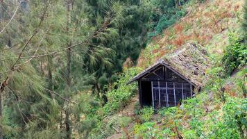 an old hut in the middle of a field and on a slant, taken in Malang Indonesia add on may 30 2024 photo