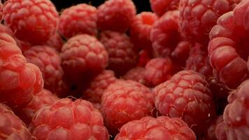 This features a close-up view of fresh, red raspberries in a bowl. The camera focuses on the intricate details of the raspberries, highlighting their bright color and textured surface. video