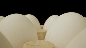 A close up shot of white chicken eggs in a cardboard carton. The eggs are arranged in a row and the carton is made of brown cardboard. The is shot in a dark studio with a black background. video