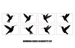 Hummingbird silhouette set, Humming bird flying in open air vector