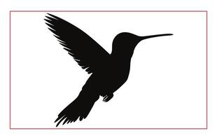 Hummingbird silhouette, Humming bird flying in open air vector