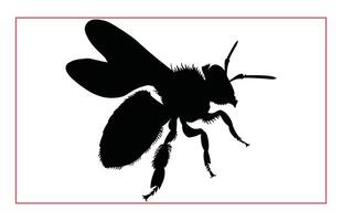 Honey Bee Hand drawing silhouette, Illustration of Bee Silhouette Art vector