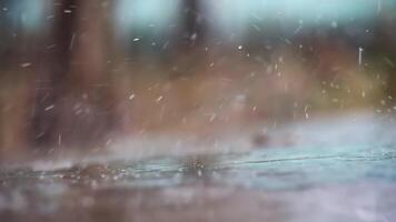 Close-up of drops and streams of rain falling on the ground on the background of a spring garden. video