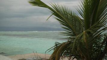 Parapet on the ocean shore under palm trees. On the background of a sandy beach, waves and cloudy sky. Maldives. video