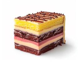 Piece of Cake with Layers of Different Colors photo