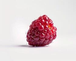 a raspberry is shown on a white background photo