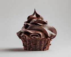 A Chocolate Cupcake with Frosting on Top photo